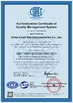 Chine China Chips Star Semiconductor Co., Ltd. certifications
